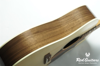 Hummingbird Studio Walnut